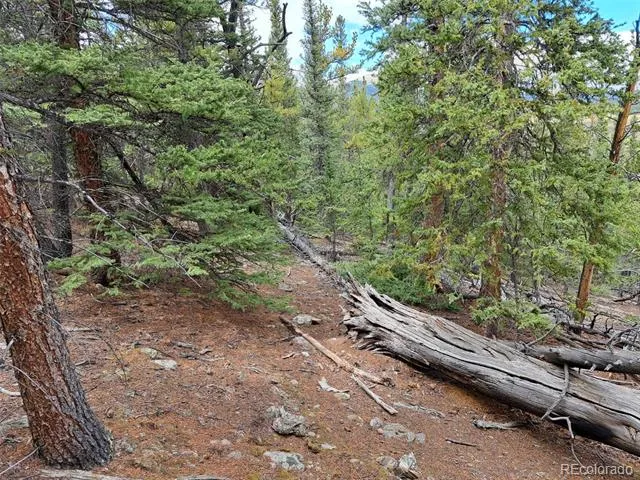 1844 High Creek Road Fairplay, CO 80440