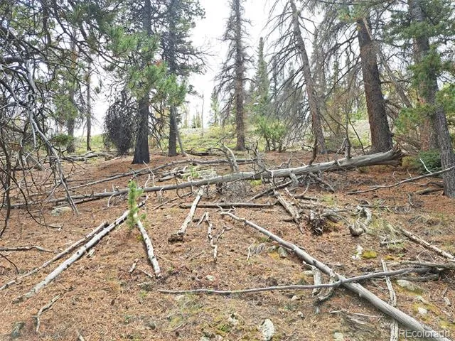 1844 High Creek Road Fairplay, CO 80440