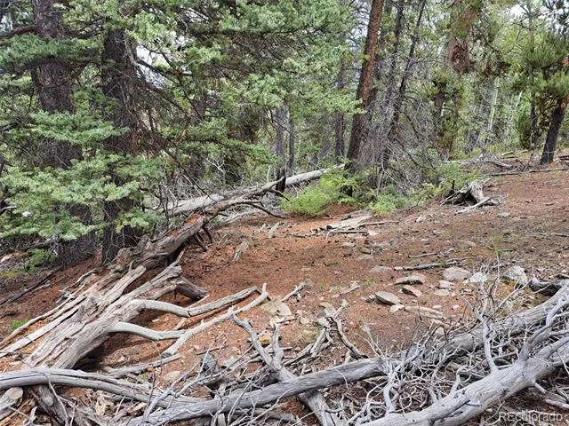 1844 High Creek Road Fairplay, CO 80440