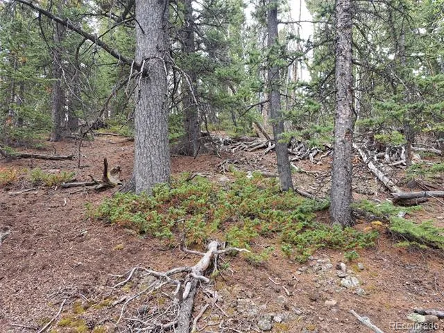 1844 High Creek Road Fairplay, CO 80440