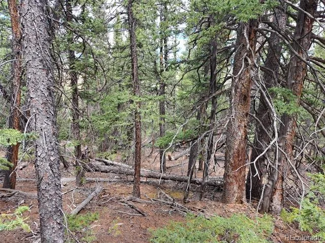 1844 High Creek Road Fairplay, CO 80440
