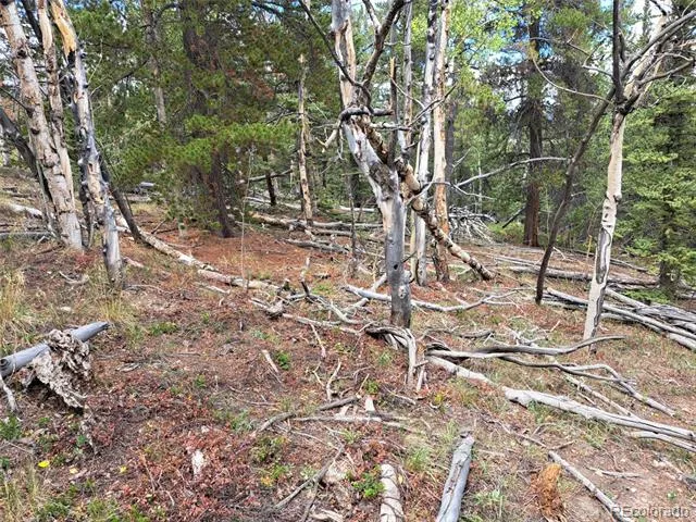 1844 High Creek Road Fairplay, CO 80440