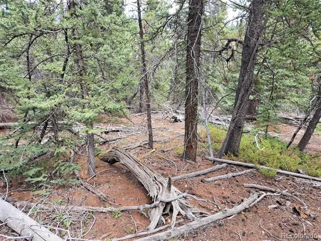 1844 High Creek Road Fairplay, CO 80440