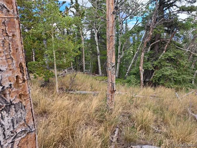 1844 High Creek Road Fairplay, CO 80440