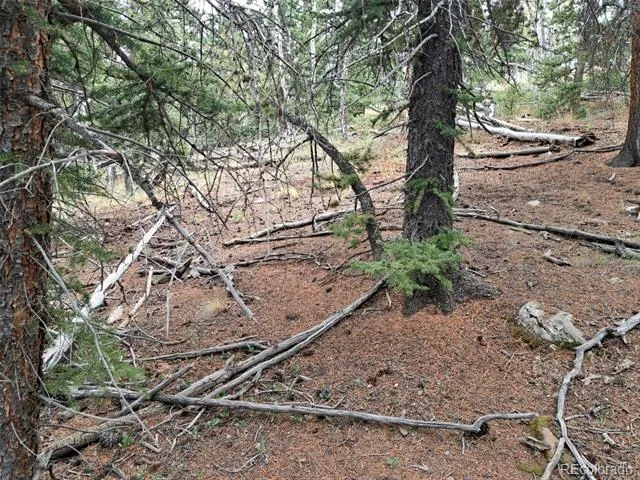 1844 High Creek Road Fairplay, CO 80440