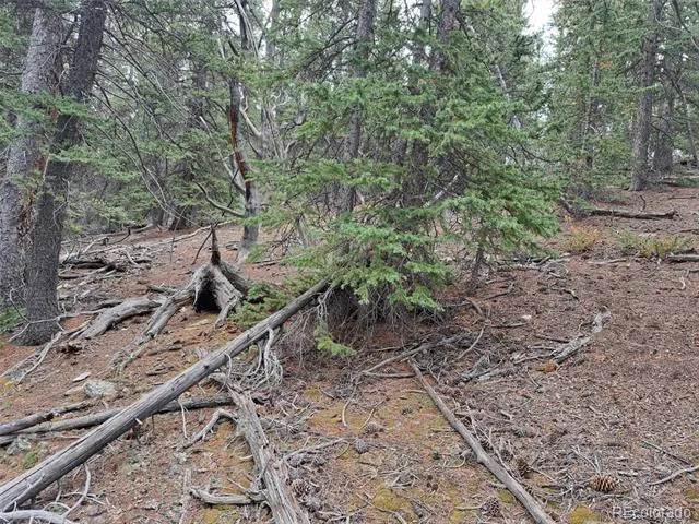 1844 High Creek Road Fairplay, CO 80440