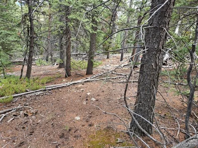 1844 High Creek Road Fairplay, CO 80440