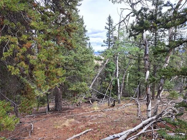 1844 High Creek Road Fairplay, CO 80440