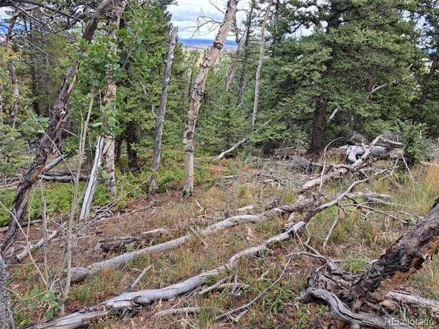 1844 High Creek Road Fairplay, CO 80440