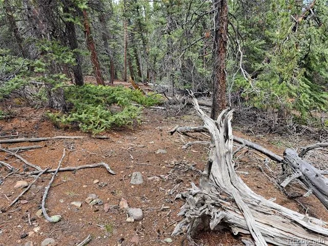 1844 High Creek Road Fairplay, CO 80440