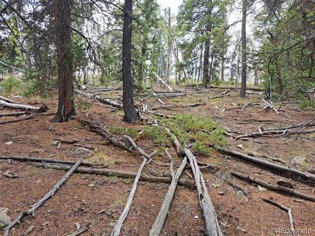 1844 High Creek Road Fairplay, CO 80440