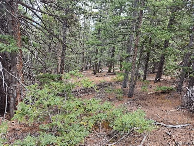 1844 High Creek Road Fairplay, CO 80440