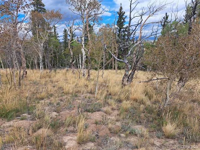 1844 High Creek Road Fairplay, CO 80440