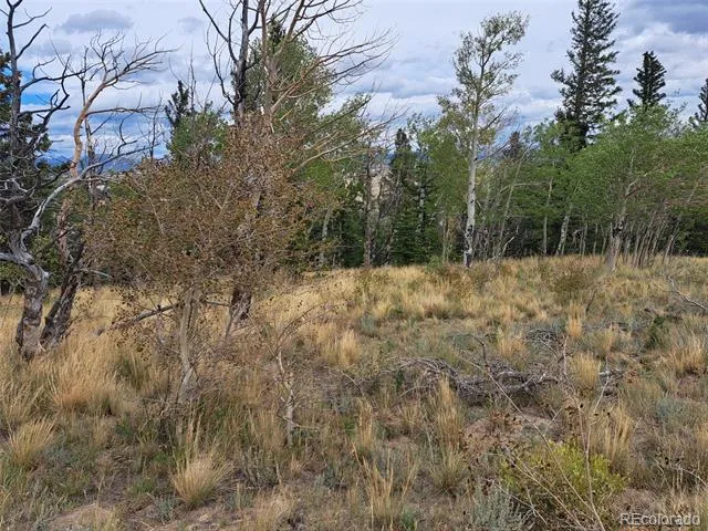 1844 High Creek Road Fairplay, CO 80440
