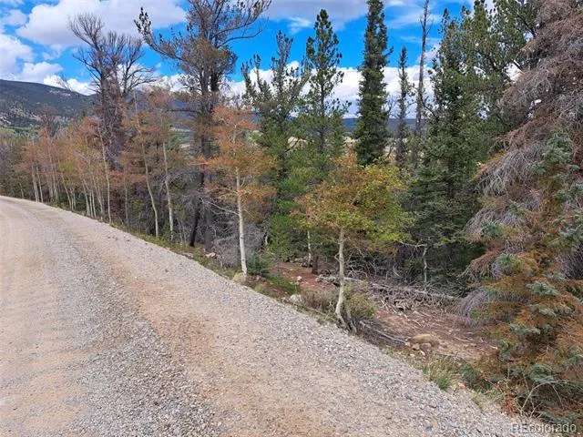 1844 High Creek Road Fairplay, CO 80440
