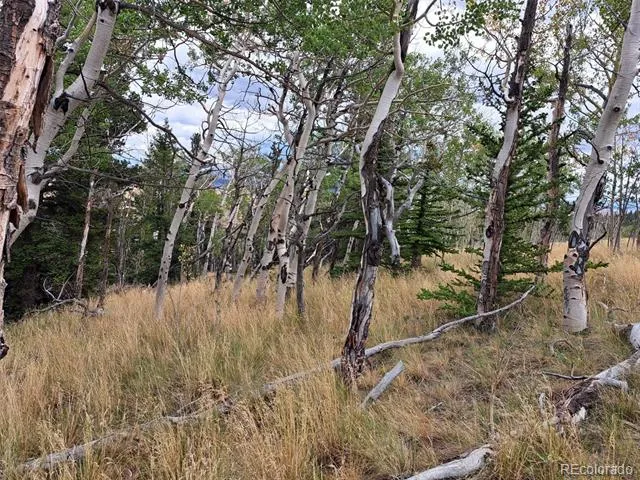 1844 High Creek Road Fairplay, CO 80440