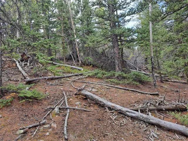 1844 High Creek Road Fairplay, CO 80440
