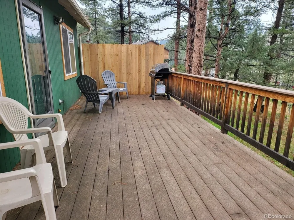 704 Yellow Pine Drive Bailey, CO 80421