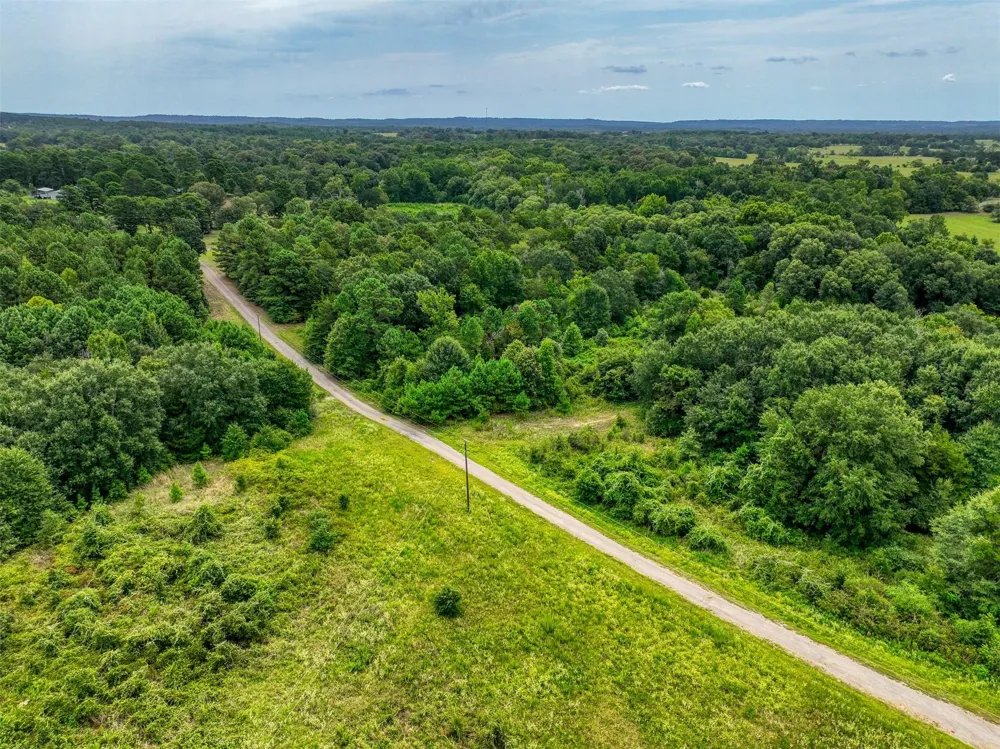 1722 Anderson County Road 432 Road Palestine, TX 75803