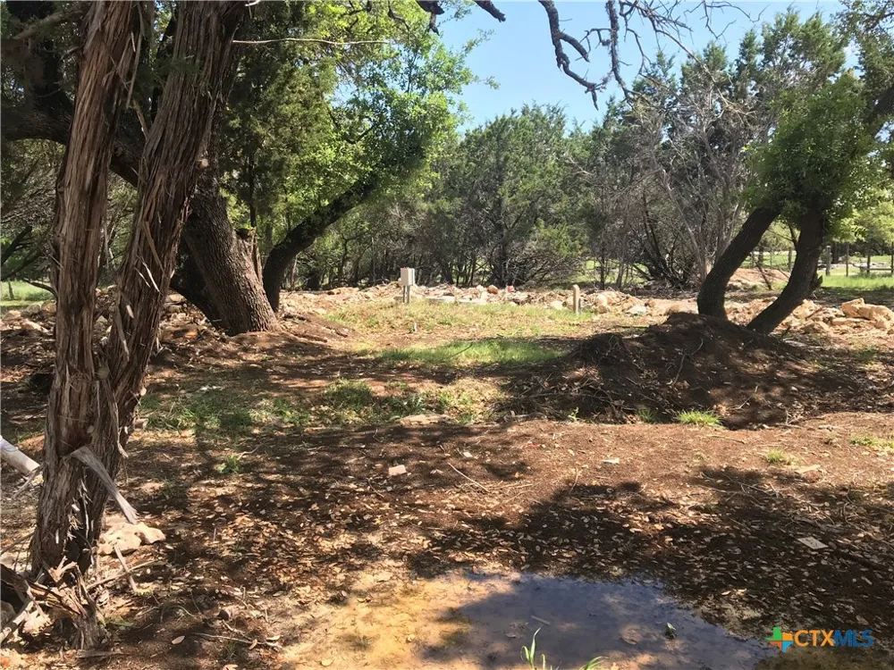 729 Clay Ridge Canyon Lake, TX 78133