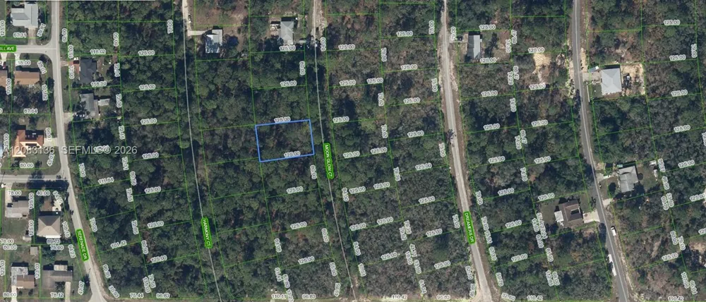 218 Moon Glow Court Lake Placid, FL 33852