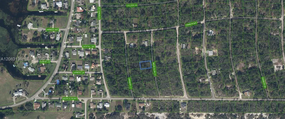 218 Moon Glow Court Lake Placid, FL 33852