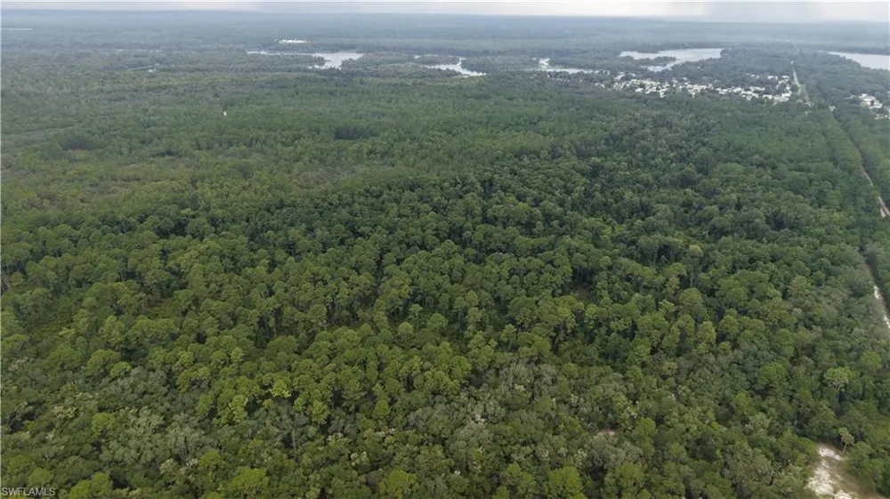 Satsuma, FL 32189