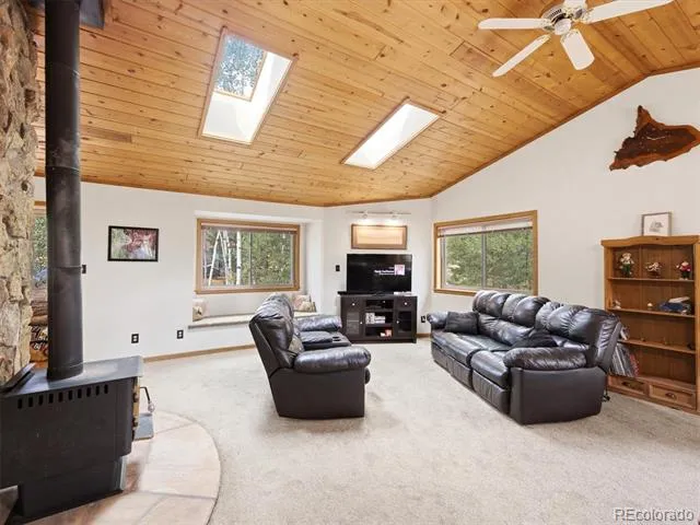 46 Bay Lane Bailey, CO 80421