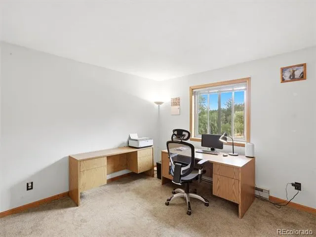 46 Bay Lane Bailey, CO 80421