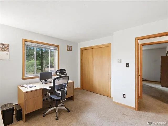 46 Bay Lane Bailey, CO 80421