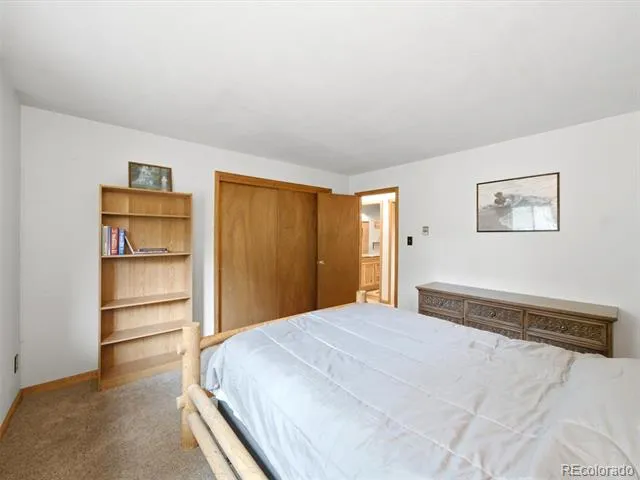 46 Bay Lane Bailey, CO 80421