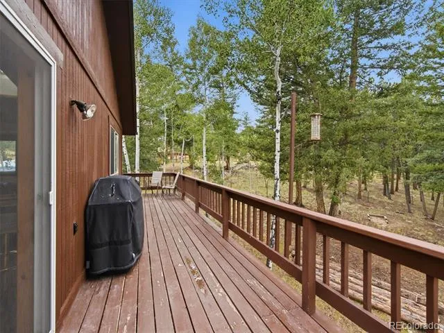 46 Bay Lane Bailey, CO 80421