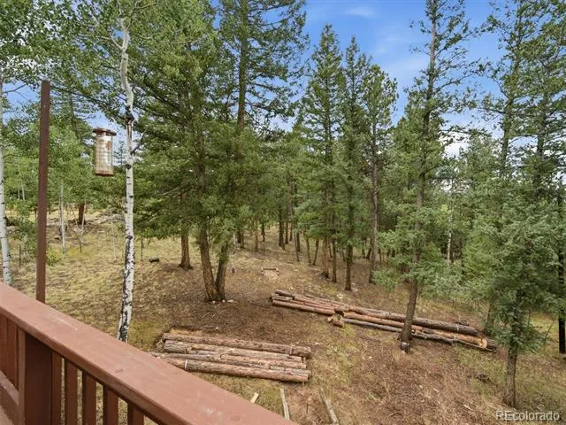 46 Bay Lane Bailey, CO 80421