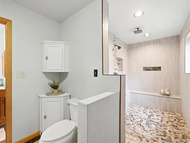 46 Bay Lane Bailey, CO 80421