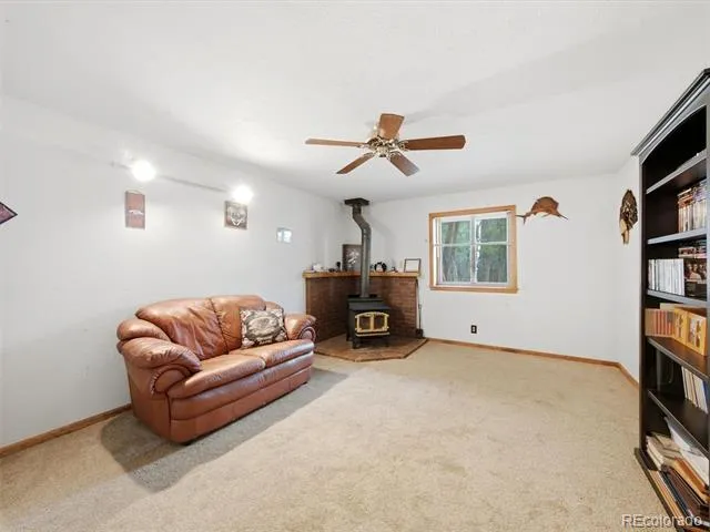 46 Bay Lane Bailey, CO 80421