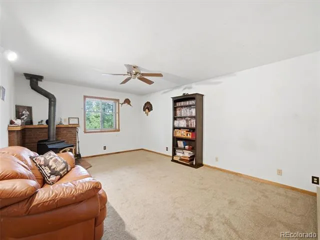 46 Bay Lane Bailey, CO 80421