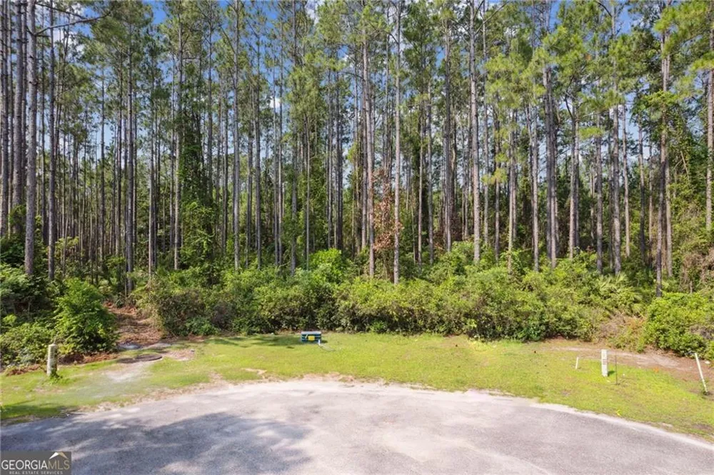 116 Wild Horse Court St. Marys, GA 31558