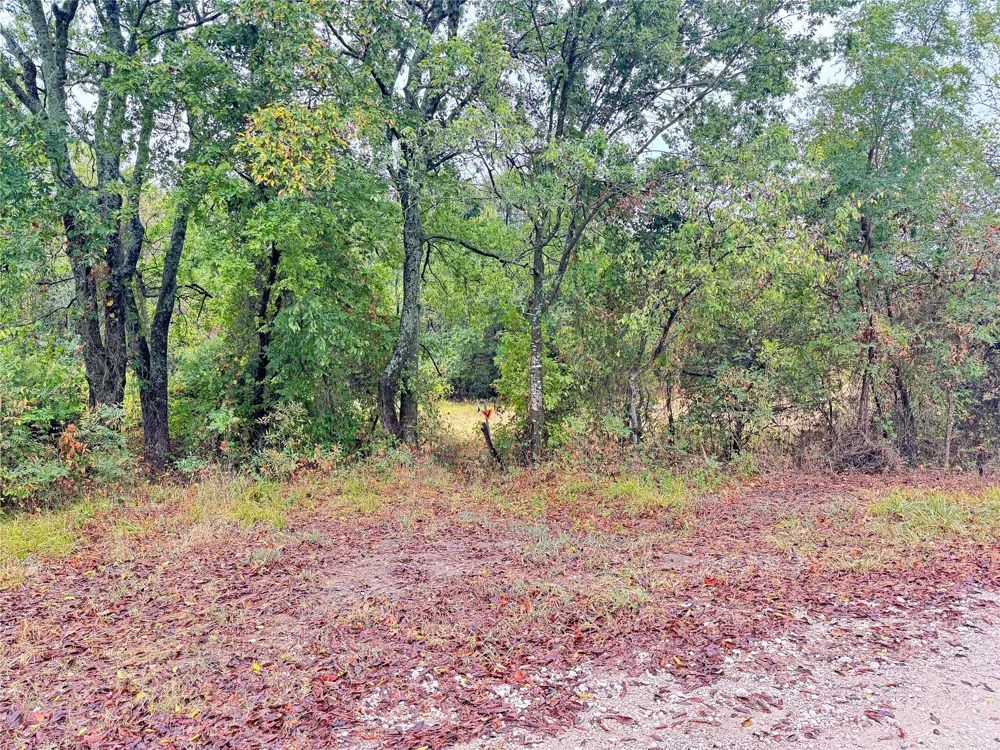 County Road 3409 Lone Oak, TX 75453