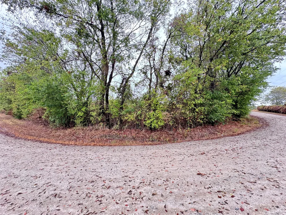 County Road 3409 Lone Oak, TX 75453