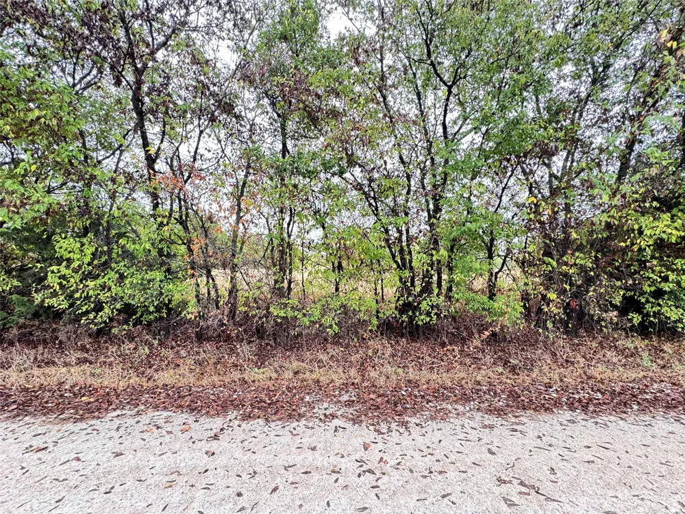 County Road 3409 Lone Oak, TX 75453