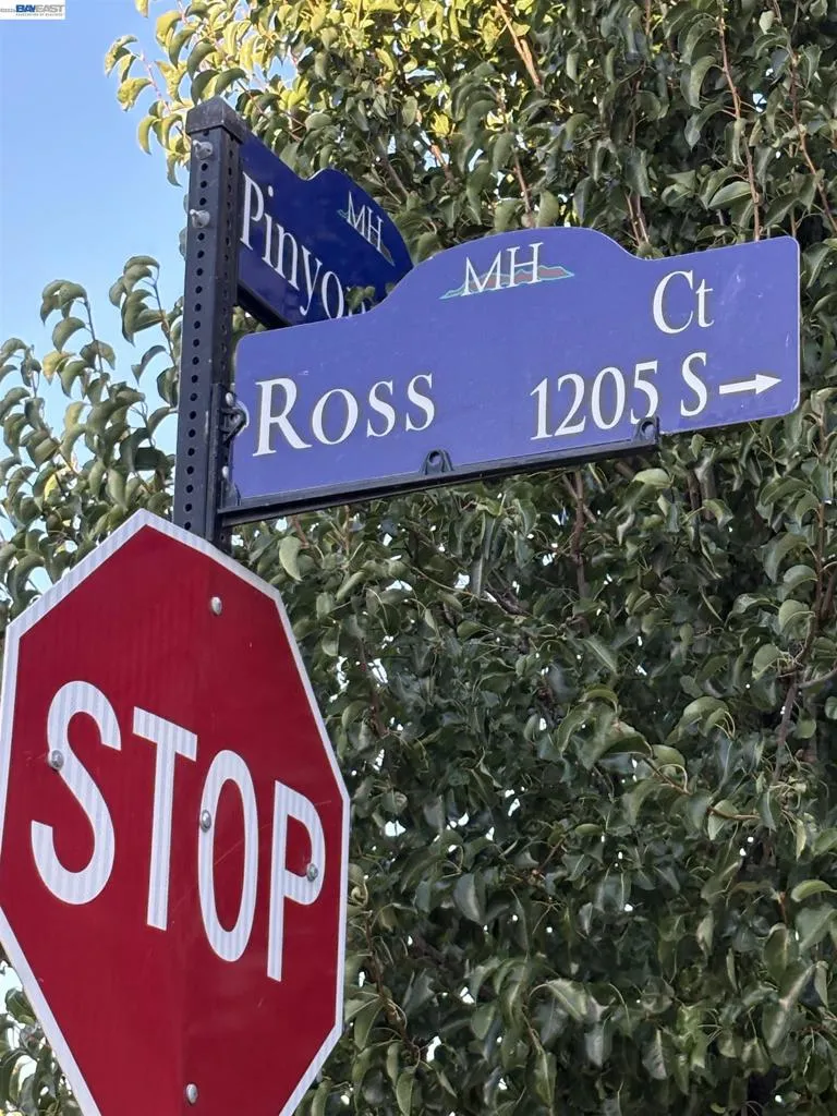 1230 S Ross Ct Mountain House, CA 95391