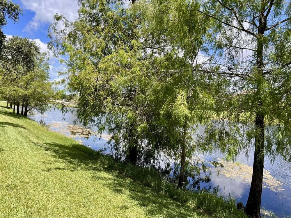 8095 LABORIE LANE Wellington, FL 33414