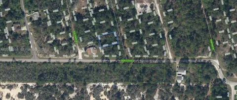 204 Rainbow Drive