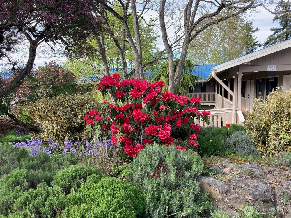 250 Tucker Avenue #2 Friday Harbor, WA 98250