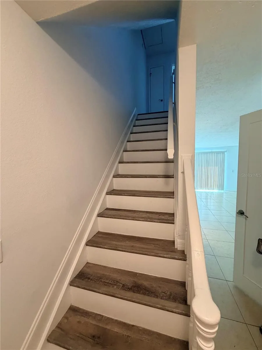 13816 ORANGE SUNSET DRIVE Tampa, FL 33618