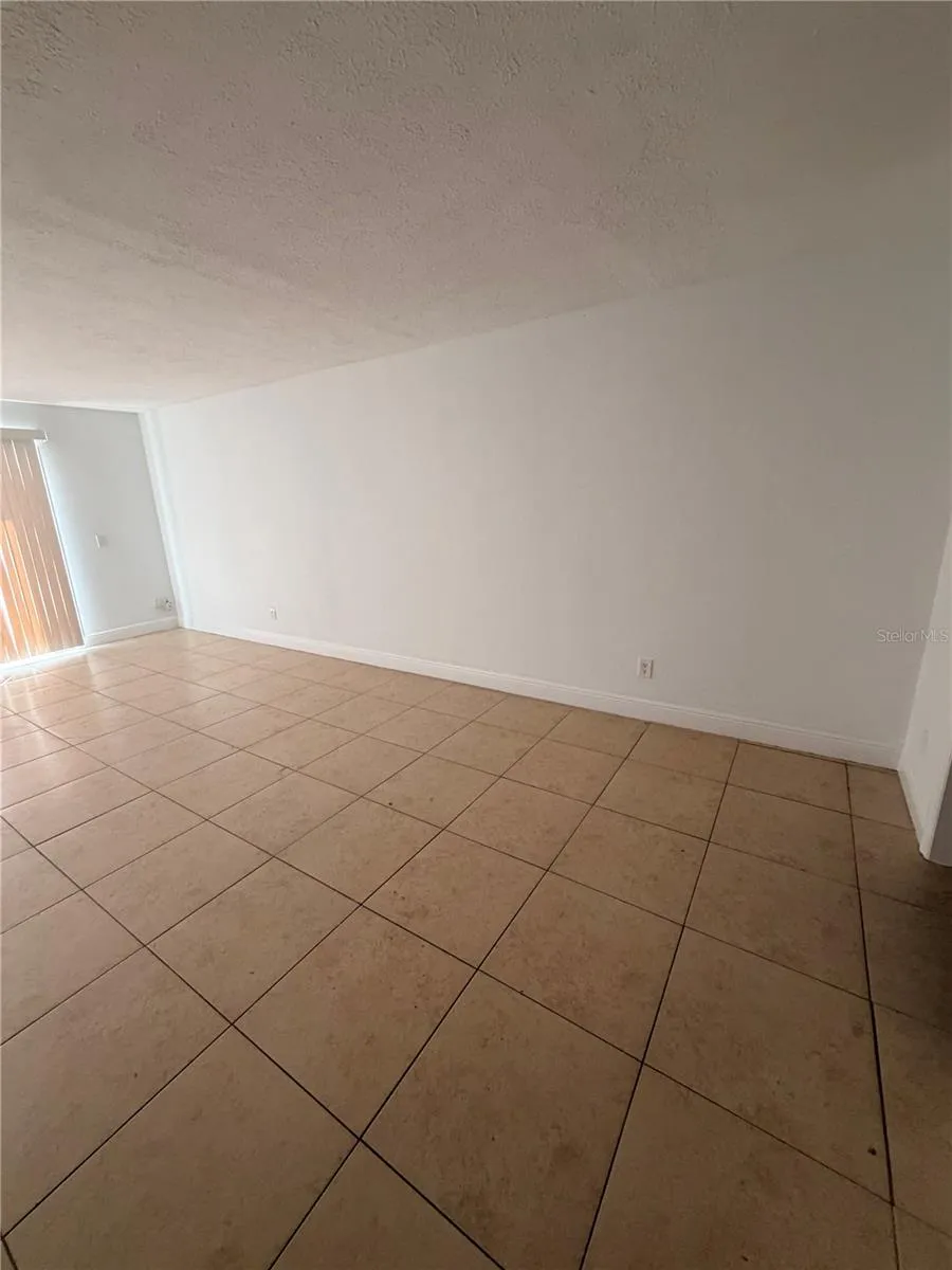 13816 ORANGE SUNSET DRIVE Tampa, FL 33618