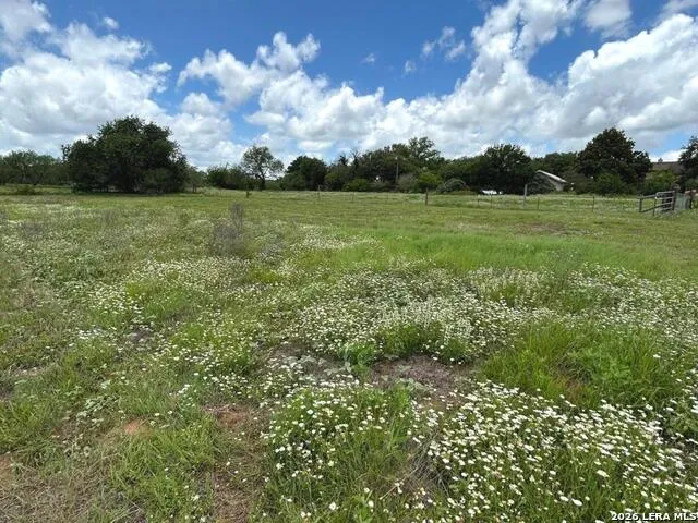 1640 SANDY ELM RD La Vernia, TX 78121
