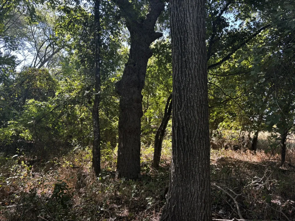 Sam Bass Road Sanger, TX 76266