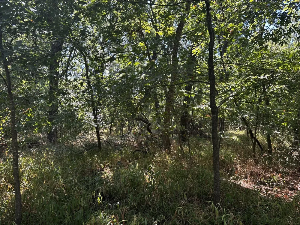 Sam Bass Road Sanger, TX 76266