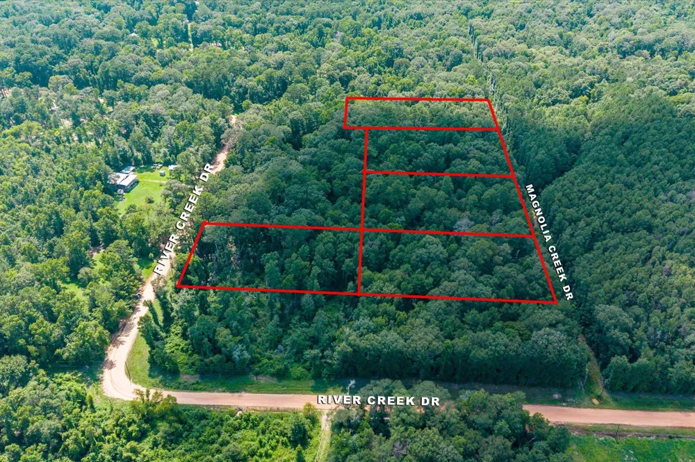 Magnolia Creek Dr Cleveland, TX 77328